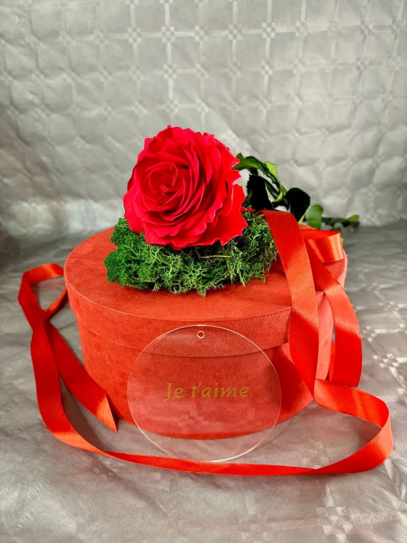 ๐ฟ 100% Natural Flowers โ Eternal Beauty ๐ธโจ