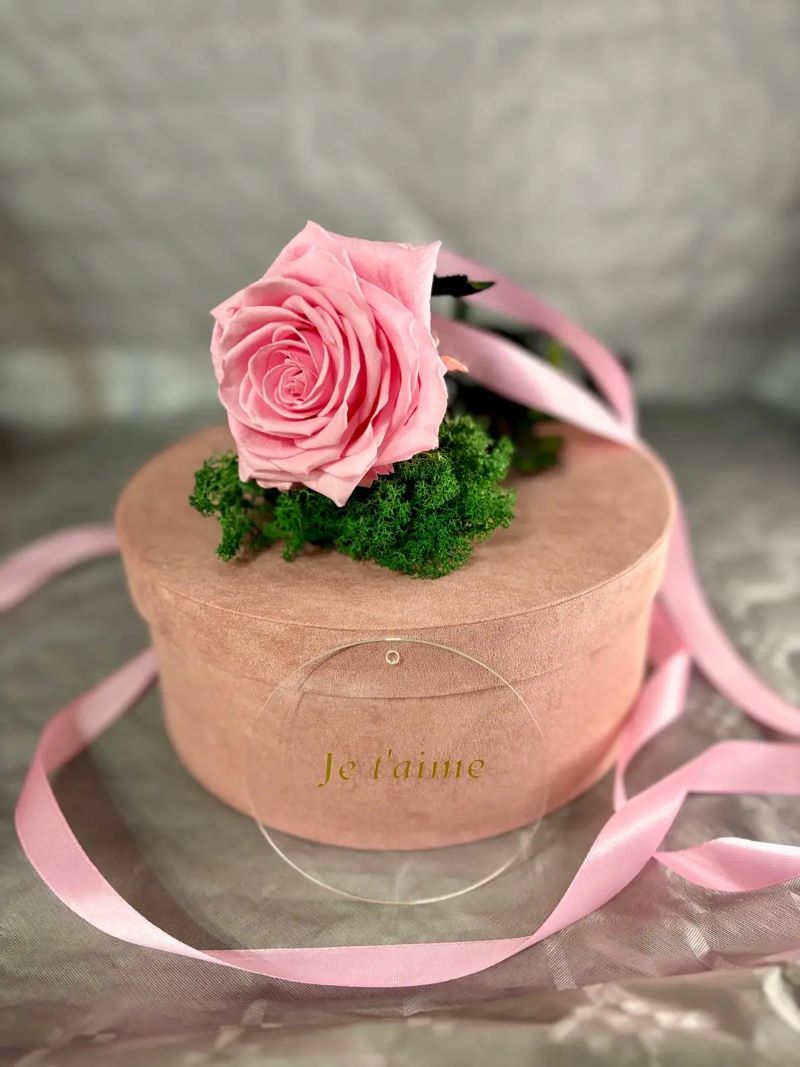 ๐ฟ 100% Natural Flowers โ Eternal Beauty ๐ธโจ