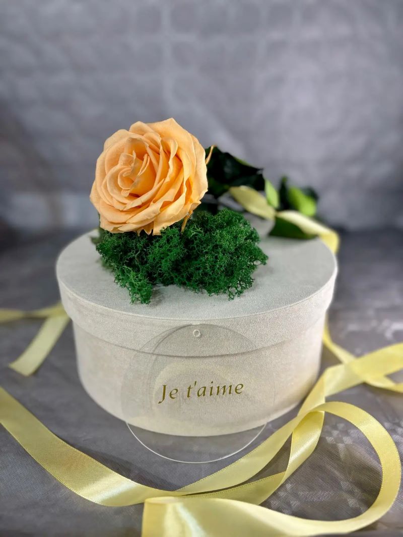 ๐ฟ 100% Natural Flowers โ Eternal Beauty ๐ธโจ