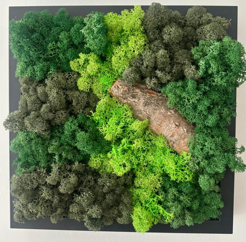 Moss Wall Art – Bring Nature Into Your Space