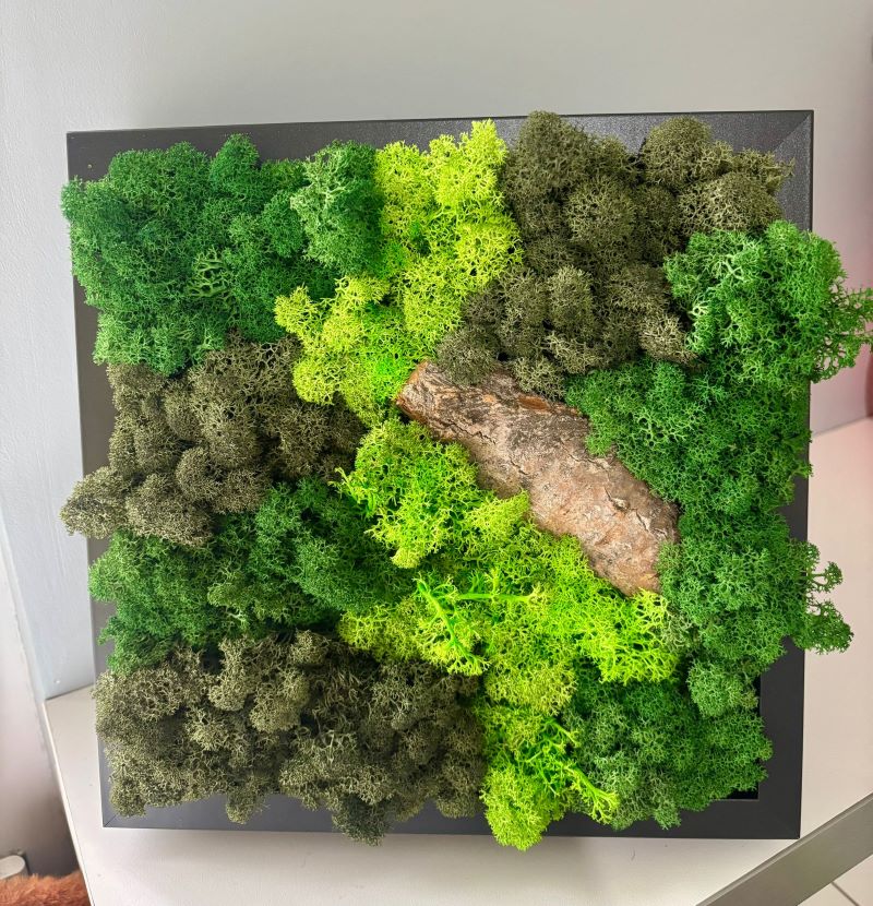 Moss Wall Art – Bring Nature Into Your Space