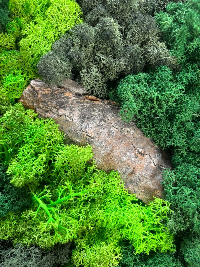 Moss Wall Art – Bring Nature Into Your Space