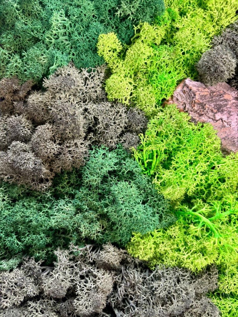 Moss Wall Art – Bring Nature Into Your Space